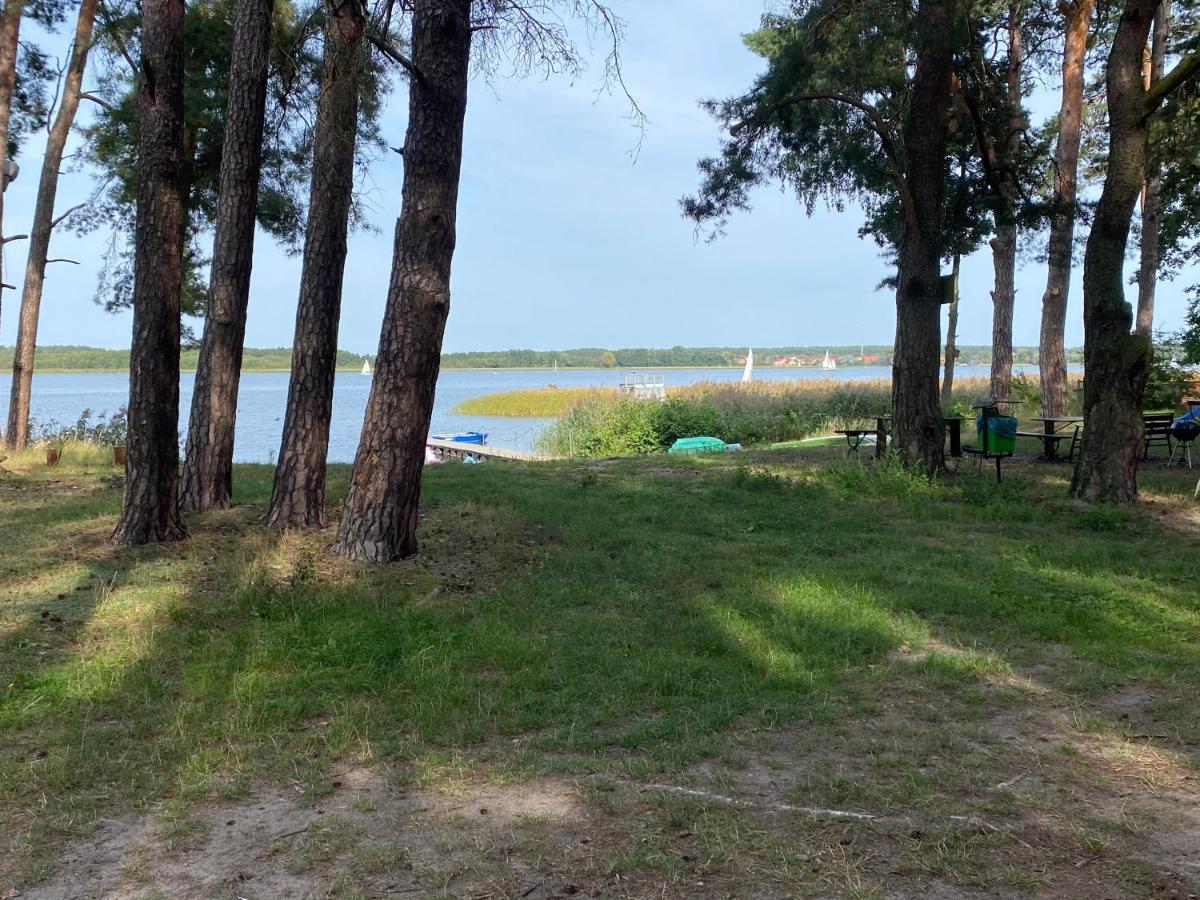 Apartament Wiewiorka Radzyń Dış mekan fotoğraf